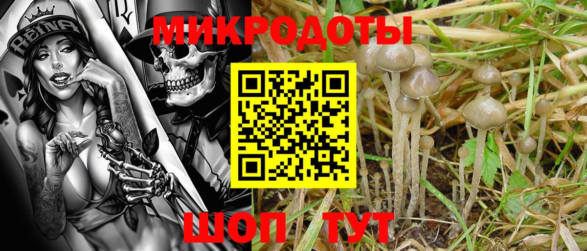 Псилоцибиновые грибы ЛСД Касимов