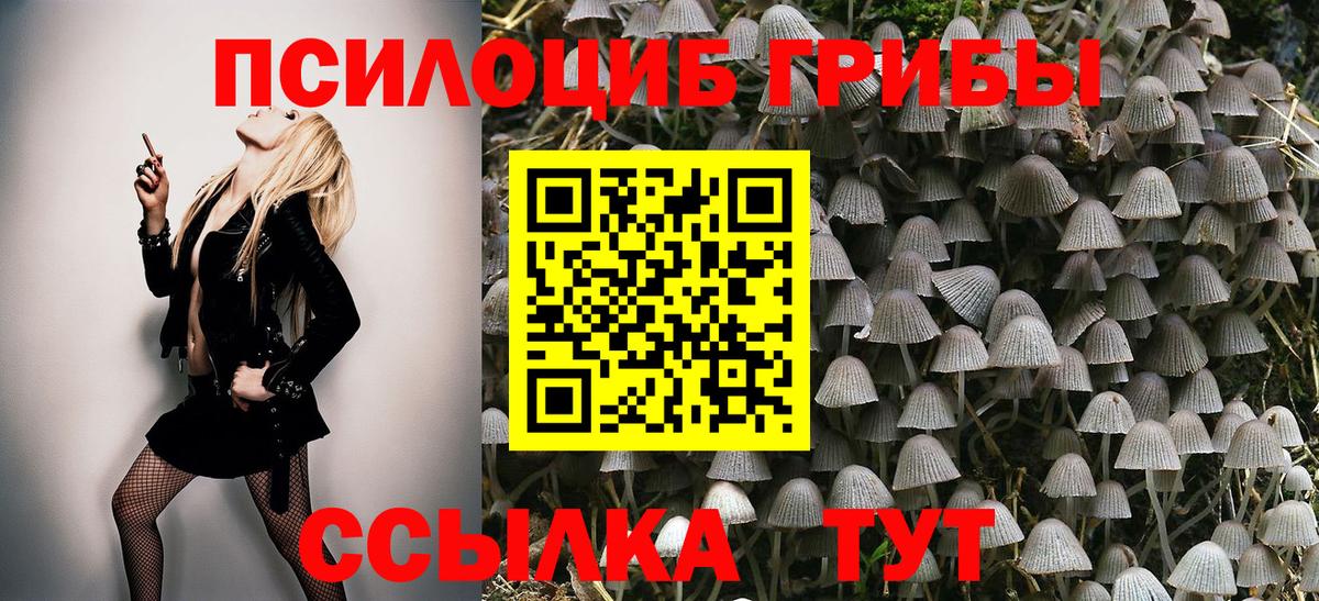Касимов  купить  сайты  Псилоцибиновые грибы MAGIC MUSHROOMS  Вход с VPN  Галлюциногенные грибы мицелий 